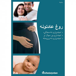 Sunde vaner - før, under og efter graviditet Pashto (E-bog)