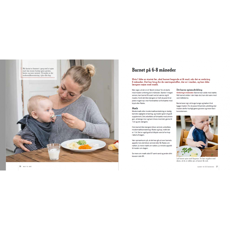 Mad til små - fra mælk til familiens mad (bog)