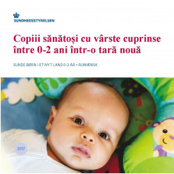 Sunde børn i et nyt land, rumænsk (E-bog)